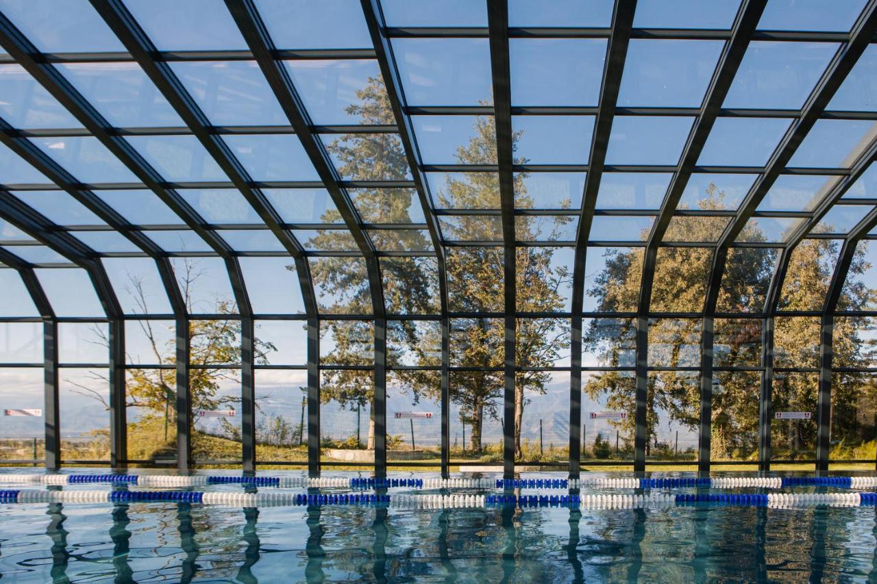 Tsinandali Estate, A Radisson Collection Hotel Exterior foto Swimming pool with a retractable roof